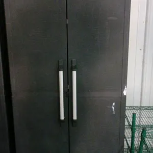 Poly 2-door storage cabinet. Features two hinged doors with vertical pull handles and silver-tone accent trim. Equipped with two interior shelves. Dim