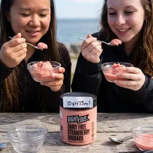 Righteous Dairy Free Strawberry Rhubarb Sorbetto 10 x 473ml