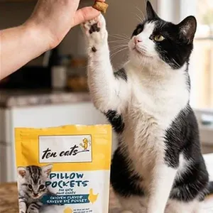 Ten Cats Pillow Pockets Chicken Flavor 12 x 85g