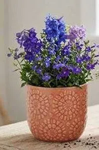 Stone & Beam Floral Embossed Planter, Small