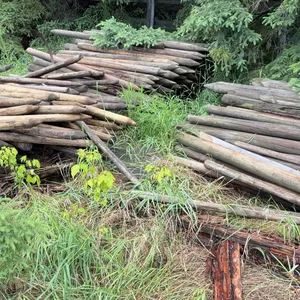 Wooden Fence Posts and Stakes (Approx. 150)