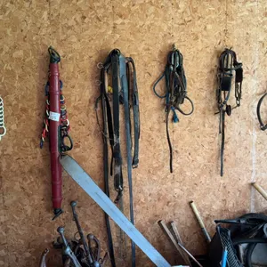 Horse Tack, Draft Hames, & Harness Equipment Lot