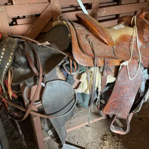 Lot of Western Saddles and Horse Tack