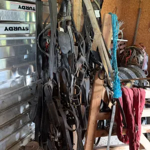 Horse Harness, Collar & Tack Lot