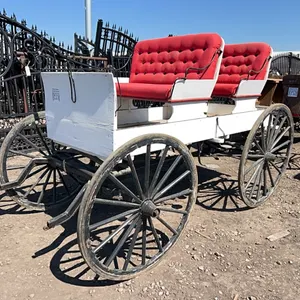HORSE DRAWN 4 PERSON BUGGY