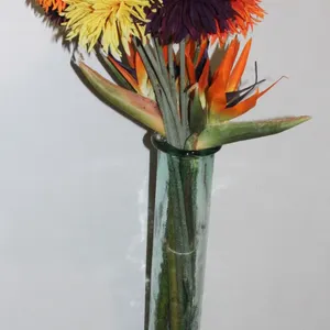 AMAZING + BRIGHT FLOWERS