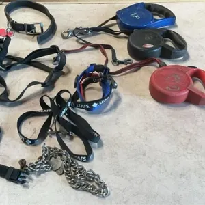 Dog leashes, collars & harness