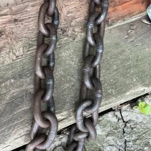 Heavy Chain
