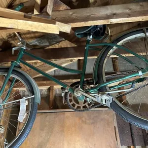 Green galaxy flyer bike