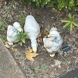 Group of white ducks w blue bows ceramic