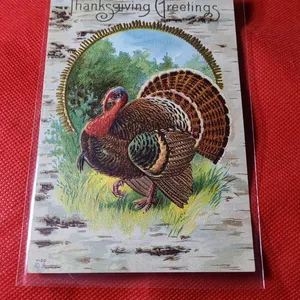 Thanksgiving Greetings Embossed Postcard Featuring Turkey, Early 20th Century, Embossed Design T-20
