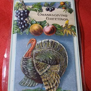 Early 20th Century Thanksgiving Greetings Embossed Postcard Featuring Turkey, Grapes, and Fruit Moti