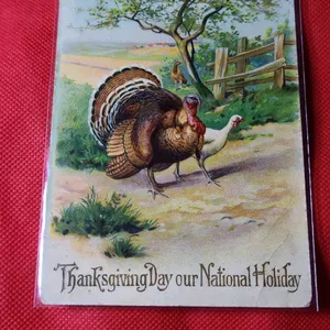 1910 Postmarked Thanksgiving Day Our National Holiday Embossed Postcard, Printed in Germany, Turkey