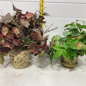 Artificial Houseplants in Decorative Pots