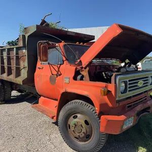 Chevy C60 Dump Truck - Does not run