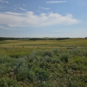 MacFadyen Land Auction -  SW-16-35-25-W4M -  145.79 acres m/l