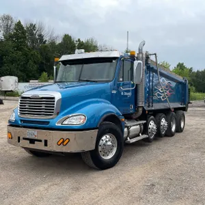 2007 Freightliner Cascadia Dump Truck (Has WI Title) (Denmark, WI)