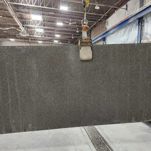 HanStone River Walk Quartz Slab
 UNRESERVED