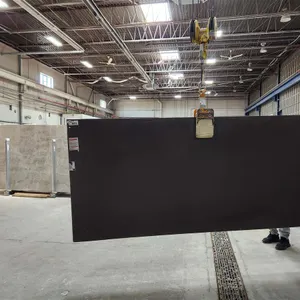 Silestone Merope Polished Quartz Slab
 UNRESERVED