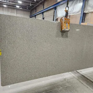 Caesarstone 9260P Quartz Slab
 UNRESERVED