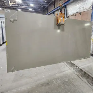 Caesarstone 2020P 20mm Quartz Slabs
 UNRESERVED