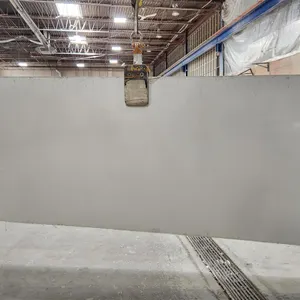 Caesarstone 3141P Quartz Slab
 UNRESERVED