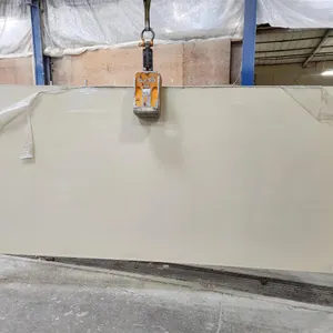 Caesarstone 2200P Quartz Slab
 UNRESERVED