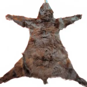 Brown Bear Rug Mount with Head, Approx 5 Feet Long