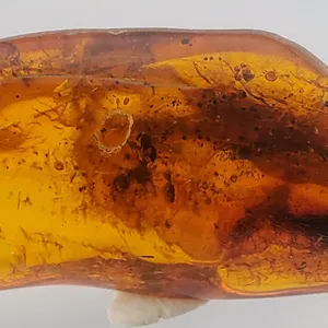 Polish Amber (35.8 ct, 52×21×12 mm)
