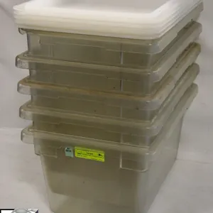 FIVE CAMBRO POLYCARB STORAGE BINS W/ 5 LIDS