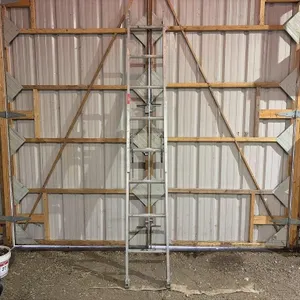 Extension Ladder