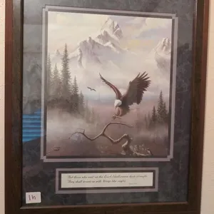 Eagle picture 18x23