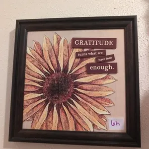 Sunflower picture