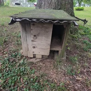 Dog house