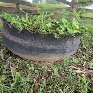 2 rubber planters