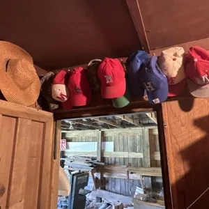 Assortment of hats