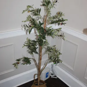 Olive Tree