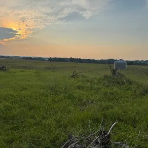 144.11 Acres of Grain & Pasture Land