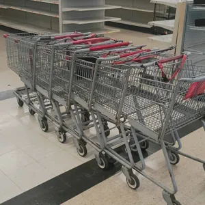 Metal shopping carts. Features wire basket construction, nesting design, lower rack, and integrated child seat with safety strap. Mounted on casters.