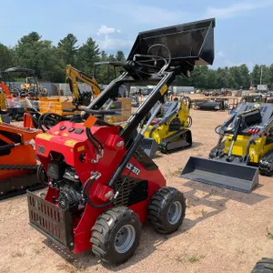 Skid Steer Loader (Mosinee, WI)