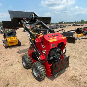 Skid Steer Loader (Mosinee, WI)