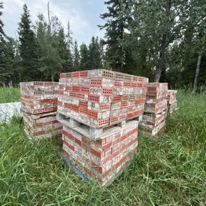 12 Pallets of Red and White Perforated Bricks