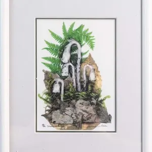 SUZANNE CRAIG "MONTOTROPA UNIFLORA" 18/84
