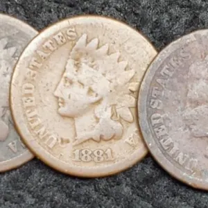 (3) Indian Head Cents: 1880, 81, 82