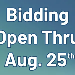 Bid Now Thru August 25