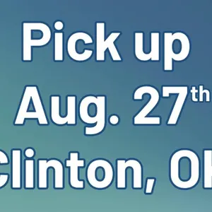 Pick Up in Clinton, OK