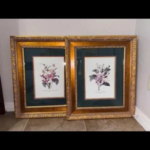 Set of 2 Floral Botanical Prints in Gold Frames