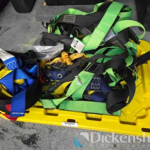 SAFETY HARNESS LOT