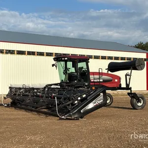 2010 Westward M100 30 ft Swather Windrower
