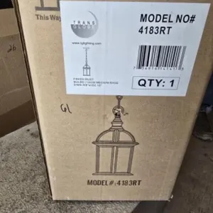 Trans Globe Rust Pendant Light NIB